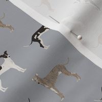 italian greyhound fabric - cute dogs coat colors and markings dog fabric design