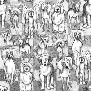 Sketched Dogs