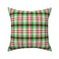 Coolest Green + Red Plaid by Su_G_©SuSchaefer