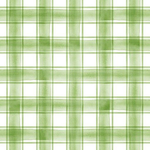 watercolor plaid || greenery double