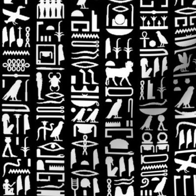 Egyptian Hieroglyphics - Black // Small