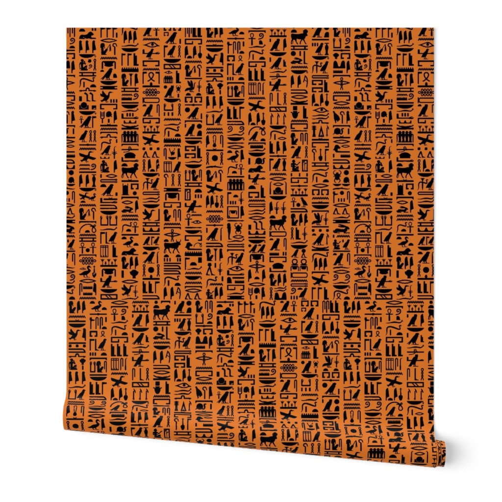 Egyptian Hieroglyphics on Orange // Small