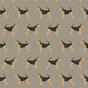 airedale terrier dog fabric cute dogs neutral sewing dog fabric - medium brown