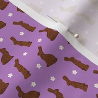 Cocoa Bunnies Small - Violet