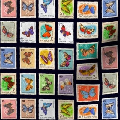 butterfly postage stamps from Hungary, life-sized on black