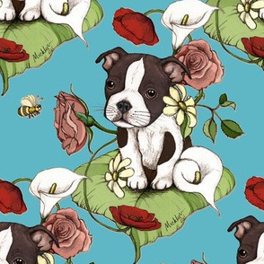 Boston Terrier Puppy Posie with flowers and bees on teal