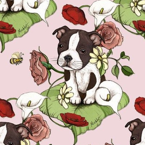 Boston Terrier Puppy Posie with flowers and bees on pink