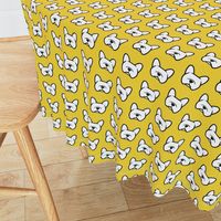 French Bulldogs  on a bright sunny yellow 