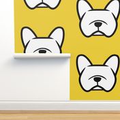 French Bulldogs  on a bright sunny yellow 