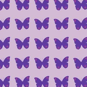 purpel butterfly