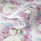 White Poodle n Lilacs Portrait