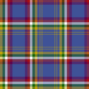 Yukon province official tartan, 12" dark