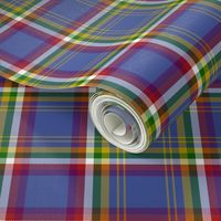 Yukon province official tartan, 6" dark