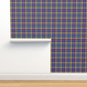 Yukon province official tartan, 6" dark