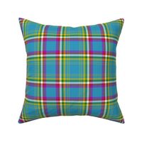 Yukon province official tartan, 6" bright