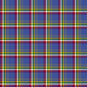 Yukon province asymmetrical tartan - 3" dark