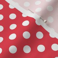 polka dots 2 bold coral