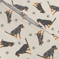 Tiny Beaucerons - tan