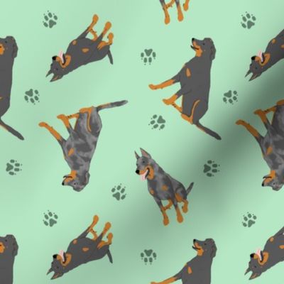 Tiny Beaucerons - green