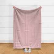 FRENCH_LINEN_GINGHAM_PINK