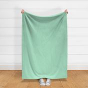 mint // mint green fabric solid mint green design andrea lauren fabric 