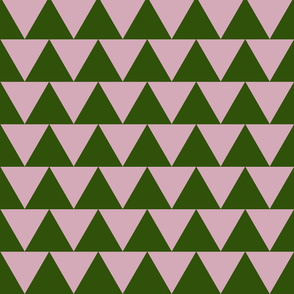 pink triangle or is it green