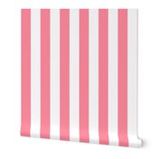 pretty pink vertical 2" stripes LG
