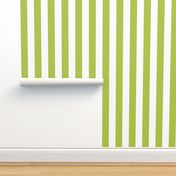 lime green vertical 2" stripes LG