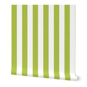 lime green vertical 2" stripes LG