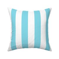 sky blue vertical 2" stripes LG