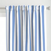 cornflower blue vertical 2" stripes LG