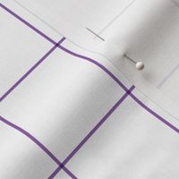 amethyst purple windowpane grid 2" square check graph paper