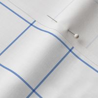 cornflower blue windowpane grid 2" square check graph paper