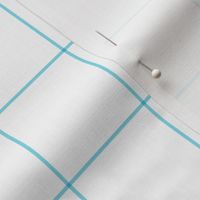 sky blue windowpane grid 2" square check graph paper