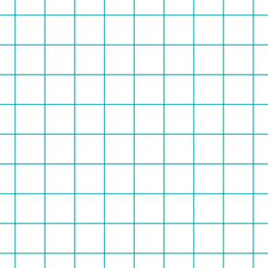 surfer blue windowpane grid 2" square check graph paper