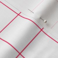 hot pink windowpane grid 2" square check graph paper