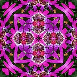 Magenta Floral Abstract