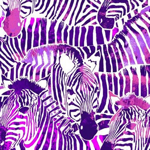 Zebra Stripes in Red Violet - LARGE