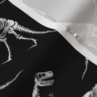 T-Rex  watercolour white on black