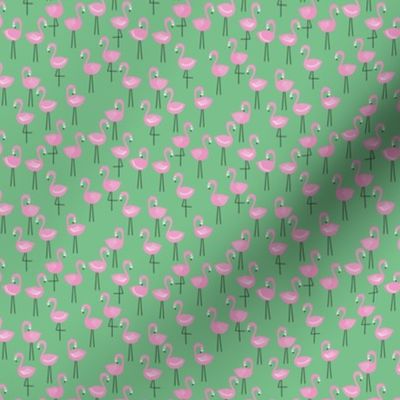 Flamingo || Pink Flamingos on Green by Sarah Price