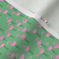 Flamingo || Pink Flamingos on Green by Sarah Price