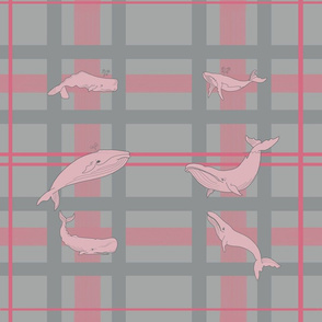 whalewallpaperdonePINK