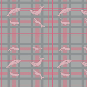 Whale Wallpaper #1 PINK and GREY