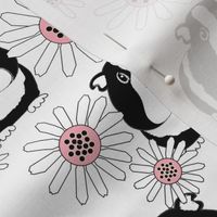 guinea-pigs-and-daisies-black white pink
