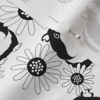 large guinea-pigs-and-daisies-black-and-white