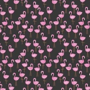 Flamingo Gorgeous Midnight