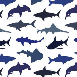 Sharks - Blue Shades // Small