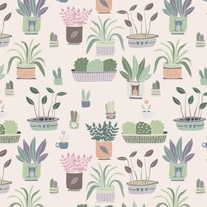 Indoor Plants ||  Houseplants on Cream by Sarah Price 