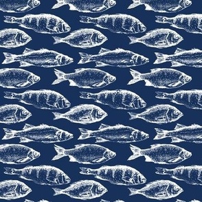 Fish Sketches on Navy // Small