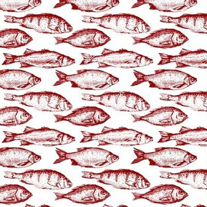 Red Fish Sketches // Small